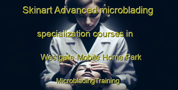 Skinart Advanced microblading specialization courses in Westgate Mobile Home Park | #MicrobladingTraining #MicrobladingClasses #SkinartTraining-United States