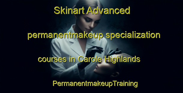 Skinart Advanced permanentmakeup specialization courses in Carole Highlands | #PermanentmakeupTraining #PermanentmakeupClasses #SkinartTraining-United States