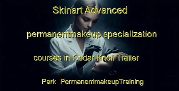 Skinart Advanced permanentmakeup specialization courses in Cedar Knoll Trailer Park | #PermanentmakeupTraining #PermanentmakeupClasses #SkinartTraining-United States