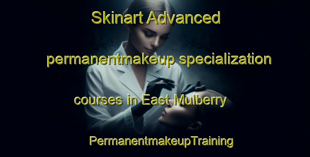 Skinart Advanced permanentmakeup specialization courses in East Mulberry | #PermanentmakeupTraining #PermanentmakeupClasses #SkinartTraining-United States