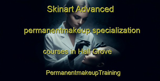 Skinart Advanced permanentmakeup specialization courses in Hall Grove | #PermanentmakeupTraining #PermanentmakeupClasses #SkinartTraining-United States