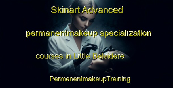 Skinart Advanced permanentmakeup specialization courses in Little Belvidere | #PermanentmakeupTraining #PermanentmakeupClasses #SkinartTraining-United States