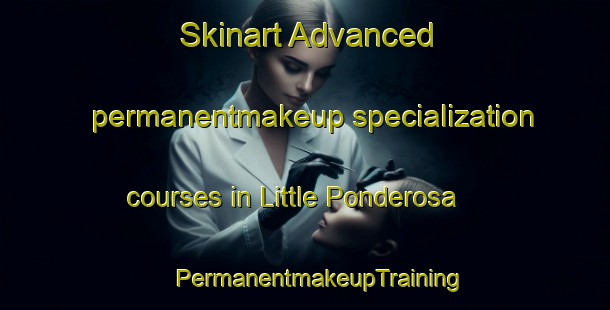 Skinart Advanced permanentmakeup specialization courses in Little Ponderosa | #PermanentmakeupTraining #PermanentmakeupClasses #SkinartTraining-United States