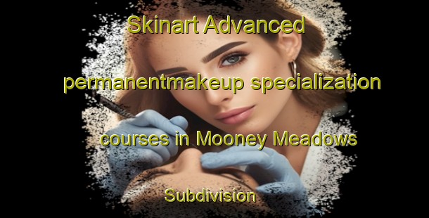 Skinart Advanced permanentmakeup specialization courses in Mooney Meadows Subdivision | #PermanentmakeupTraining #PermanentmakeupClasses #SkinartTraining-United States