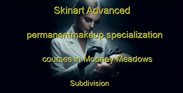 Skinart Advanced permanentmakeup specialization courses in Mooney Meadows Subdivision | #PermanentmakeupTraining #PermanentmakeupClasses #SkinartTraining-United States