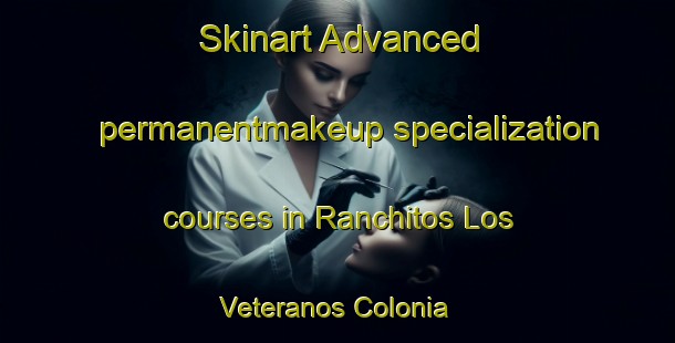 Skinart Advanced permanentmakeup specialization courses in Ranchitos Los Veteranos Colonia | #PermanentmakeupTraining #PermanentmakeupClasses #SkinartTraining-United States