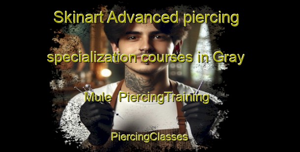 Skinart Advanced piercing specialization courses in Gray Mule | #PiercingTraining #PiercingClasses #SkinartTraining-United States