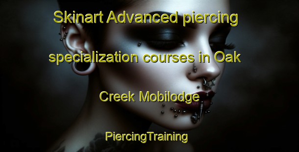 Skinart Advanced piercing specialization courses in Oak Creek Mobilodge | #PiercingTraining #PiercingClasses #SkinartTraining-United States