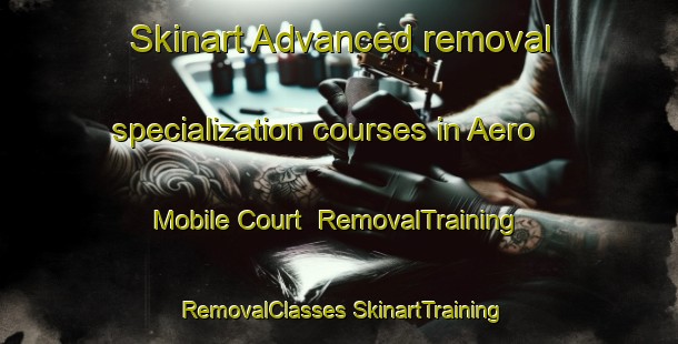 Skinart Advanced removal specialization courses in Aero Mobile Court | #RemovalTraining #RemovalClasses #SkinartTraining-United States