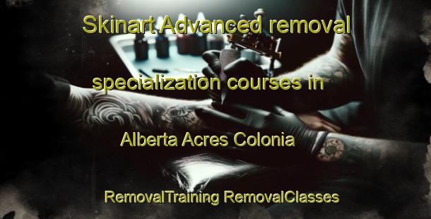 Skinart Advanced removal specialization courses in Alberta Acres Colonia | #RemovalTraining #RemovalClasses #SkinartTraining-United States