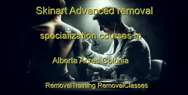 Skinart Advanced removal specialization courses in Alberta Acres Colonia | #RemovalTraining #RemovalClasses #SkinartTraining-United States