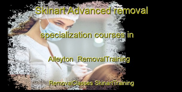 Skinart Advanced removal specialization courses in Alleyton | #RemovalTraining #RemovalClasses #SkinartTraining-United States