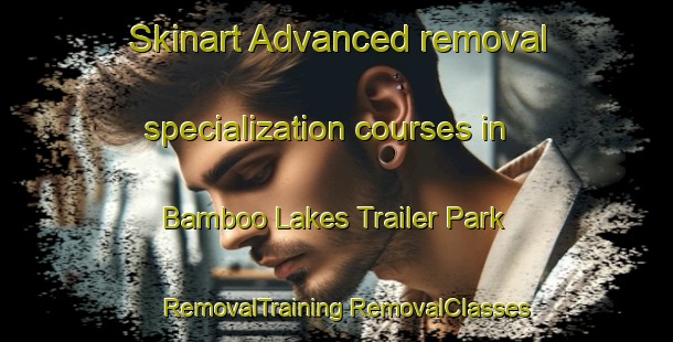 Skinart Advanced removal specialization courses in Bamboo Lakes Trailer Park | #RemovalTraining #RemovalClasses #SkinartTraining-United States