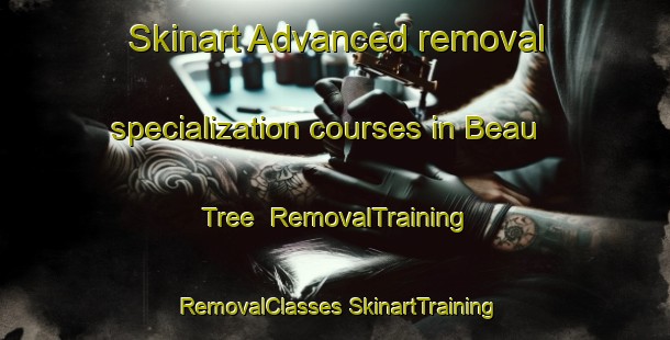 Skinart Advanced removal specialization courses in Beau Tree | #RemovalTraining #RemovalClasses #SkinartTraining-United States