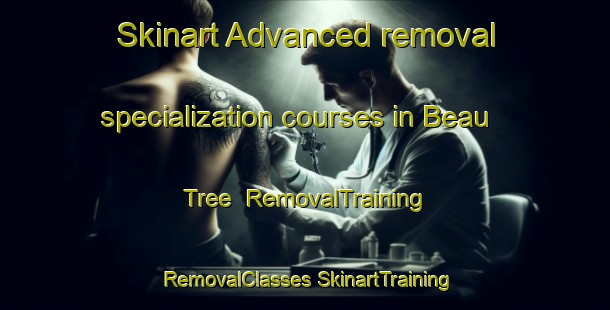 Skinart Advanced removal specialization courses in Beau Tree | #RemovalTraining #RemovalClasses #SkinartTraining-United States