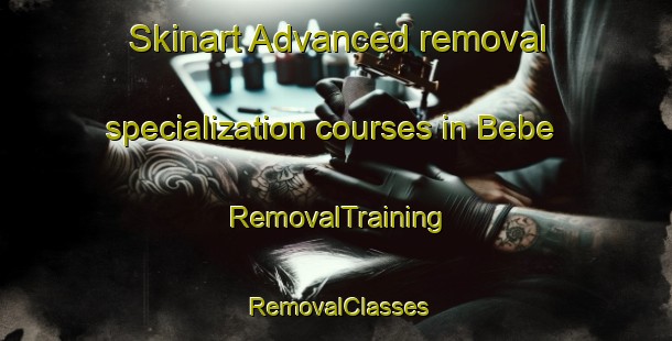 Skinart Advanced removal specialization courses in Bebe | RemovalTraining | RemovalClasses | SkinartTraining-United States