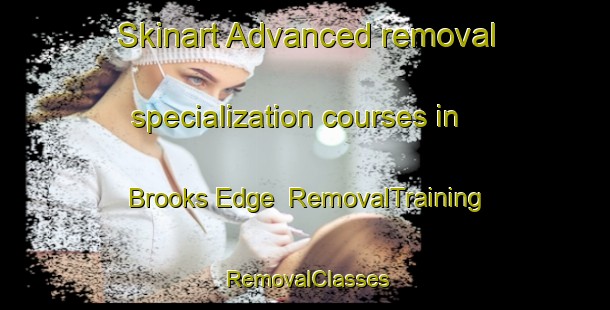 Skinart Advanced removal specialization courses in Brooks Edge | RemovalTraining | RemovalClasses | SkinartTraining-United States