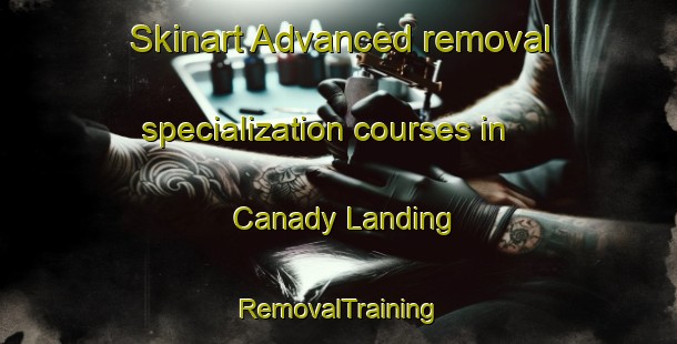 Skinart Advanced removal specialization courses in Canady Landing | RemovalTraining | RemovalClasses | SkinartTraining-United States