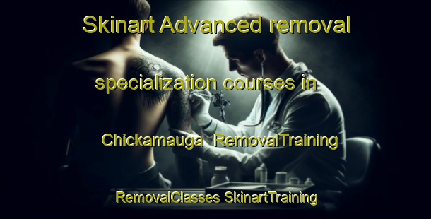 Skinart Advanced removal specialization courses in Chickamauga | #RemovalTraining #RemovalClasses #SkinartTraining-United States