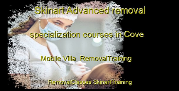 Skinart Advanced removal specialization courses in Cove Mobile Villa | #RemovalTraining #RemovalClasses #SkinartTraining-United States