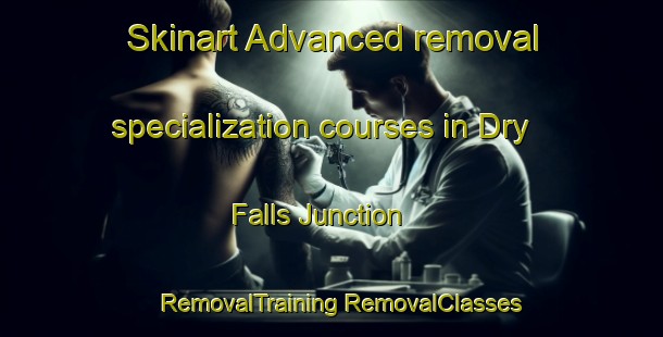 Skinart Advanced removal specialization courses in Dry Falls Junction | #RemovalTraining #RemovalClasses #SkinartTraining-United States