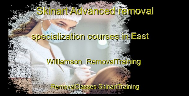 Skinart Advanced removal specialization courses in East Williamson | #RemovalTraining #RemovalClasses #SkinartTraining-United States