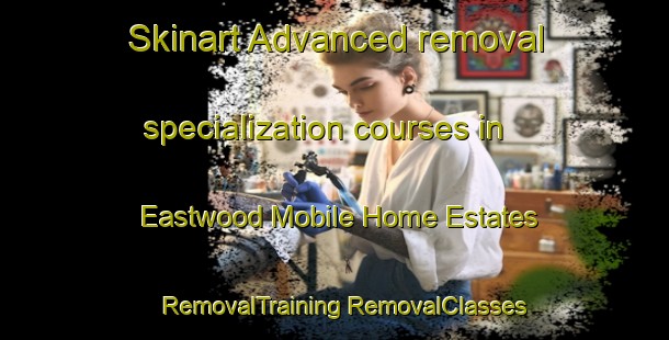 Skinart Advanced removal specialization courses in Eastwood Mobile Home Estates | #RemovalTraining #RemovalClasses #SkinartTraining-United States