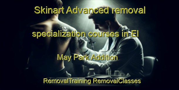 Skinart Advanced removal specialization courses in El May Park Addition | #RemovalTraining #RemovalClasses #SkinartTraining-United States