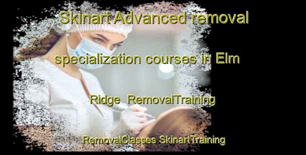 Skinart Advanced removal specialization courses in Elm Ridge | #RemovalTraining #RemovalClasses #SkinartTraining-United States