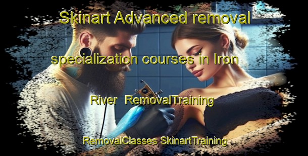 Skinart Advanced removal specialization courses in Iron River | #RemovalTraining #RemovalClasses #SkinartTraining-United States