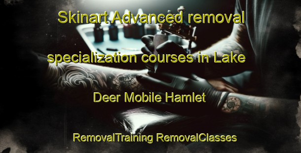 Skinart Advanced removal specialization courses in Lake Deer Mobile Hamlet | #RemovalTraining #RemovalClasses #SkinartTraining-United States