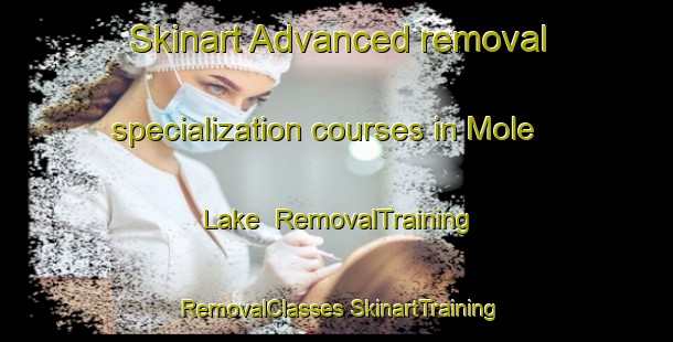 Skinart Advanced removal specialization courses in Mole Lake | #RemovalTraining #RemovalClasses #SkinartTraining-United States