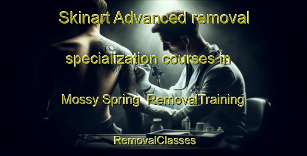 Skinart Advanced removal specialization courses in Mossy Spring | RemovalTraining | RemovalClasses | SkinartTraining-United States
