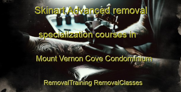 Skinart Advanced removal specialization courses in Mount Vernon Cove Condominium | #RemovalTraining #RemovalClasses #SkinartTraining-United States