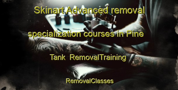 Skinart Advanced removal specialization courses in Pine Tank | RemovalTraining | RemovalClasses | SkinartTraining-United States