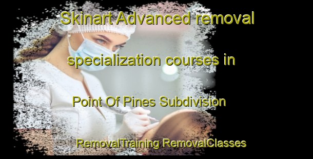 Skinart Advanced removal specialization courses in Point Of Pines Subdivision | #RemovalTraining #RemovalClasses #SkinartTraining-United States