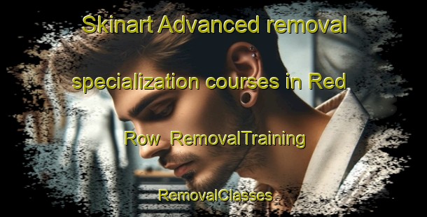 Skinart Advanced removal specialization courses in Red Row | RemovalTraining | RemovalClasses | SkinartTraining-United States