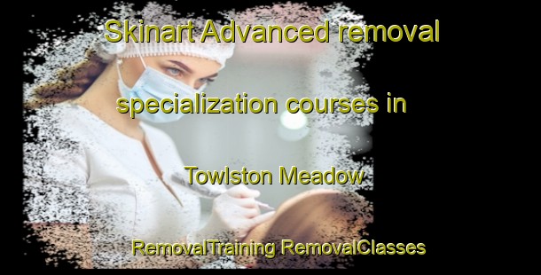 Skinart Advanced removal specialization courses in Towlston Meadow | #RemovalTraining #RemovalClasses #SkinartTraining-United States