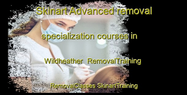 Skinart Advanced removal specialization courses in Wildheather | #RemovalTraining #RemovalClasses #SkinartTraining-United States