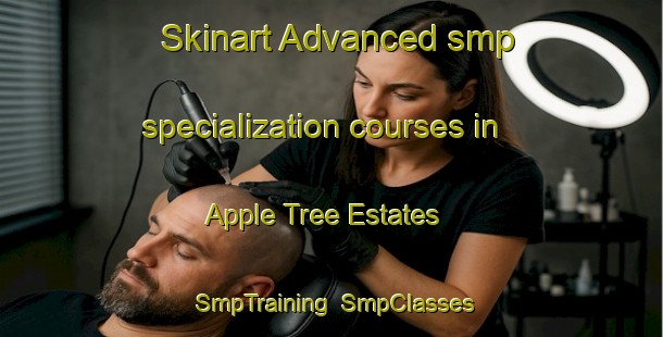 Skinart Advanced smp specialization courses in Apple Tree Estates | SmpTraining | SmpClasses | SkinartTraining-United States