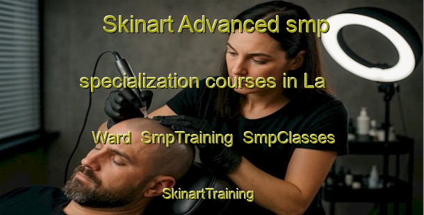 Skinart Advanced smp specialization courses in La Ward | SmpTraining | SmpClasses | SkinartTraining-United States
