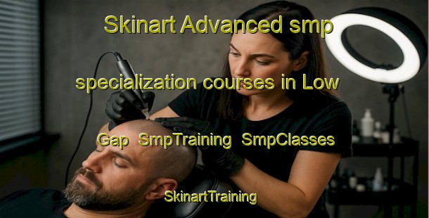 Skinart Advanced smp specialization courses in Low Gap | SmpTraining | SmpClasses | SkinartTraining-United States