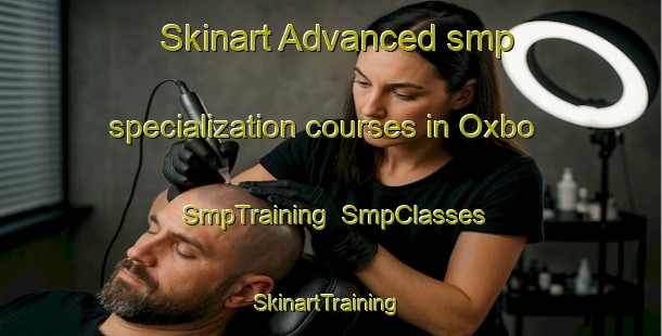 Skinart Advanced smp specialization courses in Oxbo | SmpTraining | SmpClasses | SkinartTraining-United States