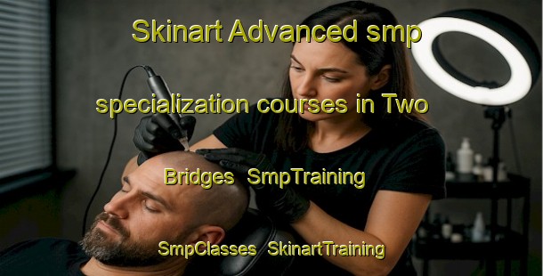 Skinart Advanced smp specialization courses in Two Bridges | SmpTraining | SmpClasses | SkinartTraining-United States