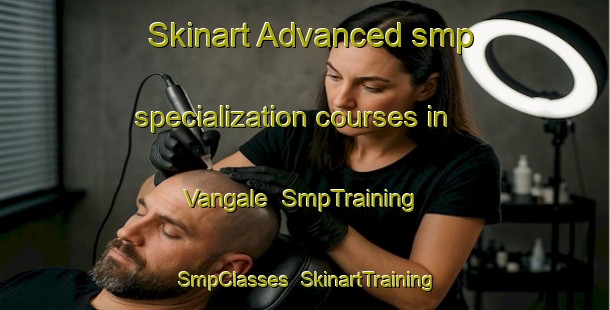 Skinart Advanced smp specialization courses in Vangale | SmpTraining | SmpClasses | SkinartTraining-United States