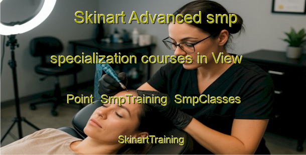 Skinart Advanced smp specialization courses in View Point | SmpTraining | SmpClasses | SkinartTraining-United States