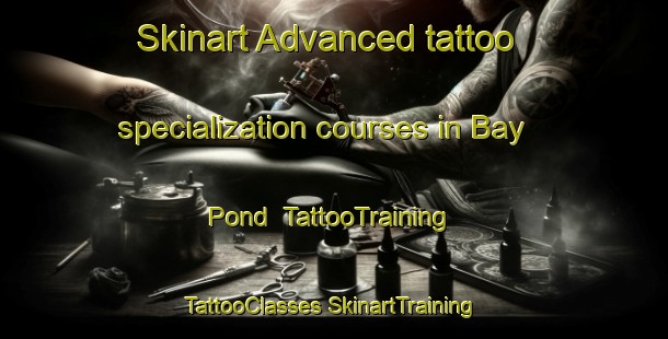 Skinart Advanced tattoo specialization courses in Bay Pond | #TattooTraining #TattooClasses #SkinartTraining-United States