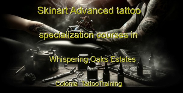 Skinart Advanced tattoo specialization courses in Whispering Oaks Estates Colonia | #TattooTraining #TattooClasses #SkinartTraining-United States