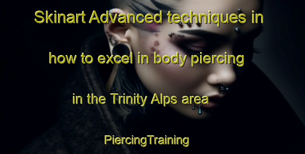 Skinart Advanced techniques in how to excel in body piercing in the Trinity Alps area | PiercingTraining | PiercingClasses | SkinartTraining-United States