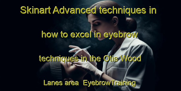 Skinart Advanced techniques in how to excel in eyebrow techniques in the Otis Wood Lanes area | EyebrowTraining | EyebrowClasses | SkinartTraining-United States